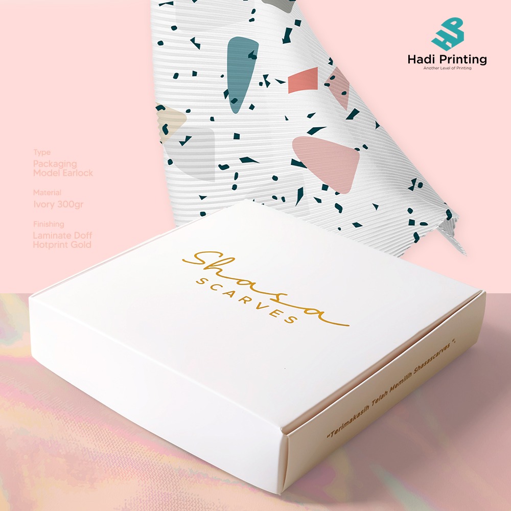 Packaging Model Earlock